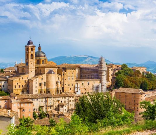 Urbino