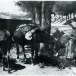 Donna in attesa lungo la via dei Torrioni (attuale via Trieste) – Bambini alla fiera del bestiame (E. R. Franz • da Mezzetti)