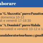 Screenshot 2025-01-19 alle 13.50.05